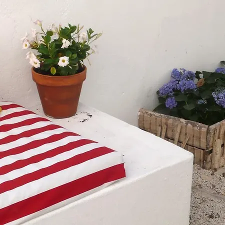 Oliveirinha דירה