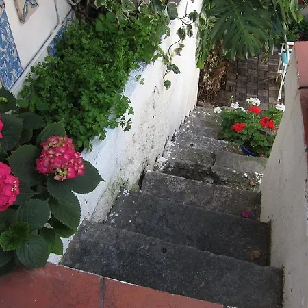 Oliveirinha Lissabon