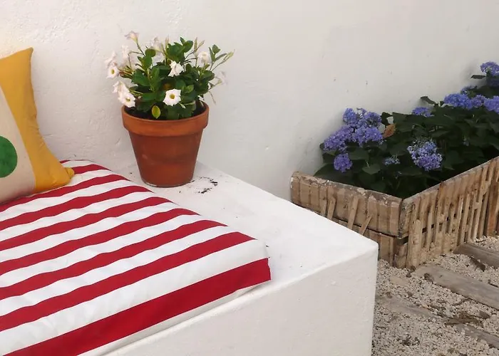 Oliveirinha Apartment